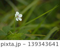 ゲンノショウコ 139343641