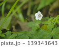ゲンノショウコ 139343643