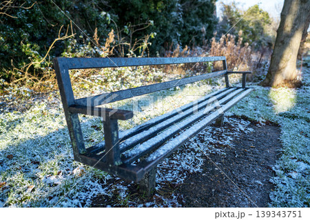 First snow, frozen bench in park, winter landscape 139343751
