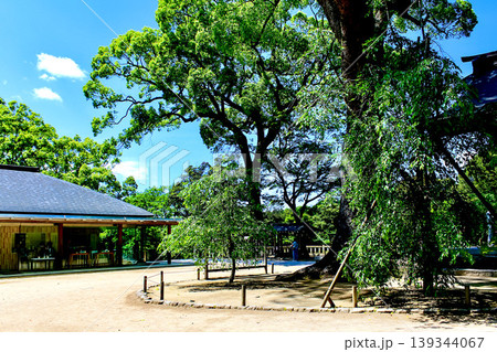 【福岡】初夏の太宰府 竈門神社の社務所・参集殿 【福岡】初夏の太宰府 竈門神社の社務所・参集殿 139344067