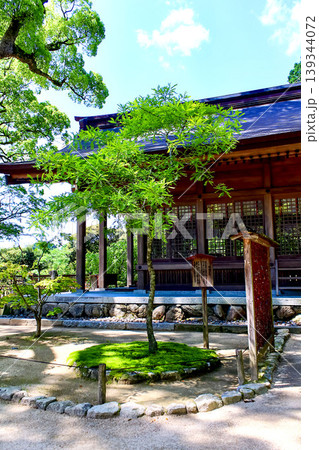 【福岡】初夏の太宰府　竈門神社の再会の木　 139344072