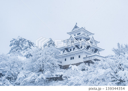 郡上八幡城（冬） 139344354