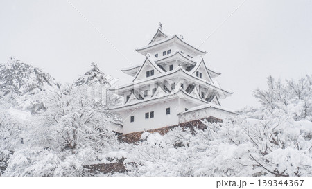 郡上八幡城（冬） 139344367