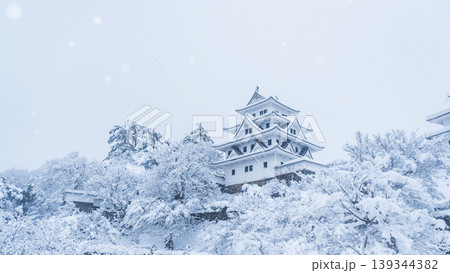 郡上八幡城(冬) 郡上八幡城(冬) 139344382