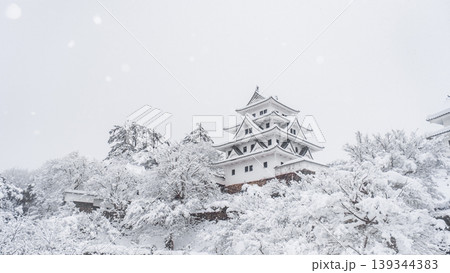 郡上八幡城(冬) 郡上八幡城(冬) 139344383