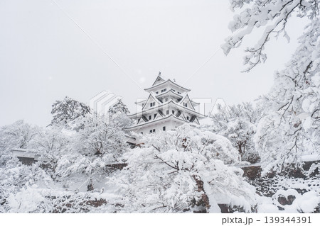 郡上八幡城(冬) 郡上八幡城(冬) 139344391