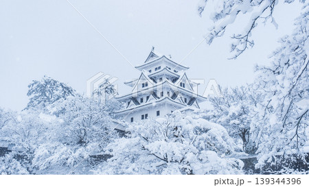 郡上八幡城（冬） 139344396