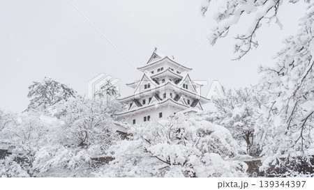 郡上八幡城（冬） 139344397