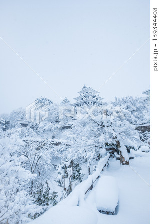 郡上八幡城（冬） 139344408