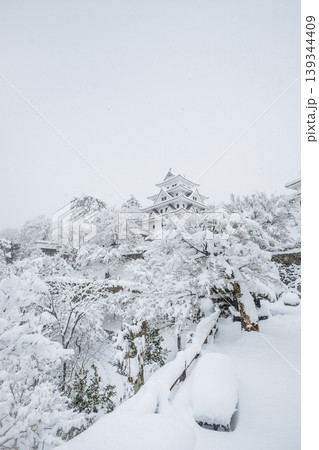 郡上八幡城（冬） 139344409