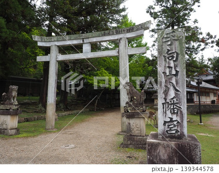 古都・奈良の歴史を歩く。手向山八幡宮の入り口に佇む狛犬と石造りの美 139344578