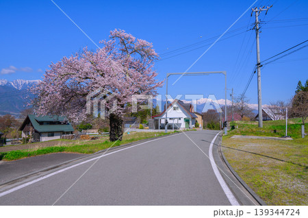 【滝沢の風景】安曇野の春【北安曇郡池田町】 【滝沢の風景】安曇野の春【北安曇郡池田町】 139344724