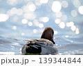 波に乗るカモ 139344844