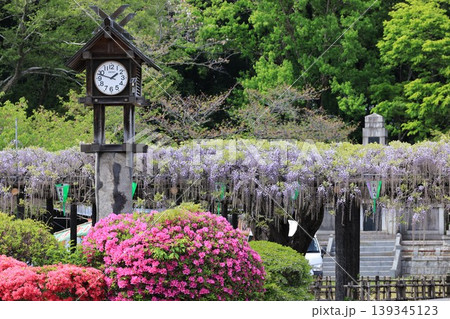 加須市玉敷公園の風景 加須市玉敷公園の風景 139345123