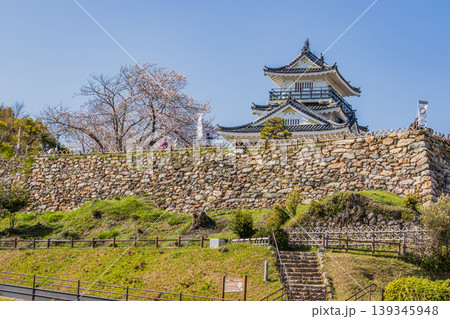 浜松市の浜松城と桜の風景(静岡県) 139345948