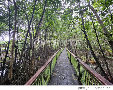 wooden bridge in the forest 139345962