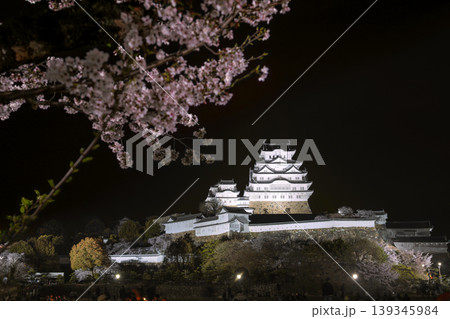 ライトアップされた満開の桜と姫路城天守閣 ライトアップされた満開の桜と姫路城天守閣 139345984
