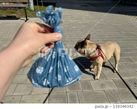 Bags for pet excrement on the background of a French bulldog dog. High quality photos 139346342