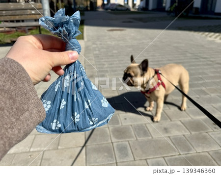 Bags for pet excrement on the background of a French bulldog dog. High quality photos 139346360