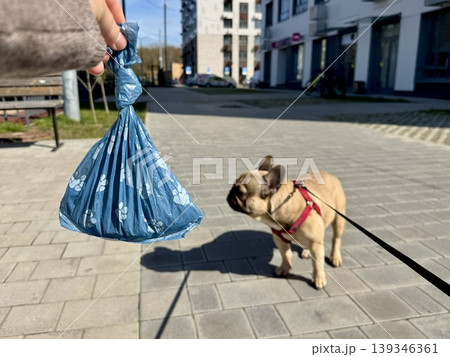 Bags for pet excrement on the background of a French bulldog dog. High quality photos 139346361