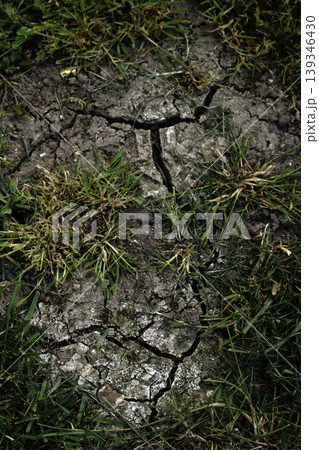 Dried, cracked earth and green grass vegetation trying to growconcept of Climate change impact Dried, cracked earth and green grass vegetation trying to growconcept of Climate change impact 139346430