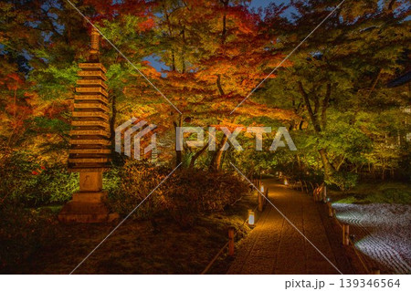 京都宝厳院 紅葉ライトアップ 京都宝厳院 紅葉ライトアップ 139346564