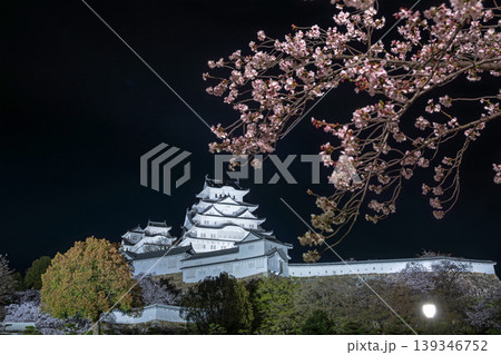 夜桜と姫路城天守閣 139346752