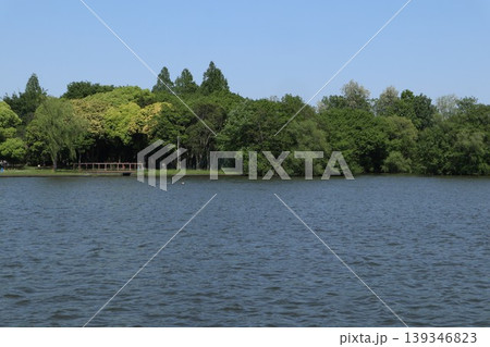 葛飾区 水元公園 葛飾区 水元公園 139346823