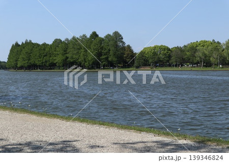 葛飾区 水元公園葛飾区 水元公園 葛飾区 水元公園葛飾区 水元公園 139346824