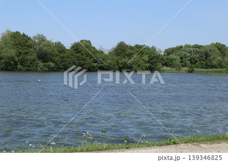 葛飾区　水元公園 139346825