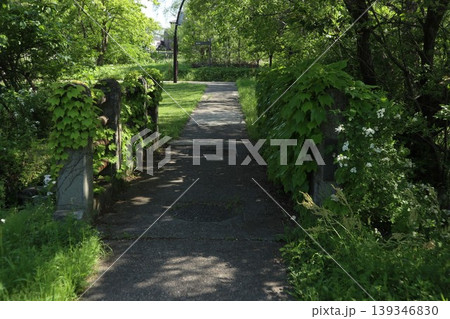 葛飾区 水元公園 葛飾区 水元公園 139346830