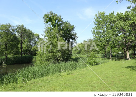 葛飾区 水元公園 葛飾区 水元公園 139346831