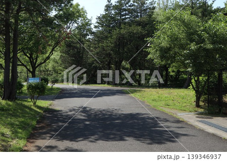 葛飾区　水元公園 139346937