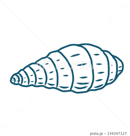 Hand drawn sea shell vector line art illustration on white background. 139347127