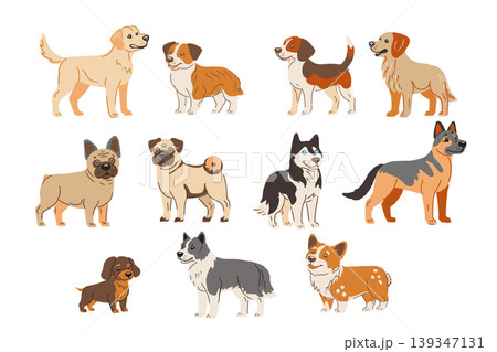 Hand drawn vector set of domestic animals. Collection of popular dog breeds. 139347131