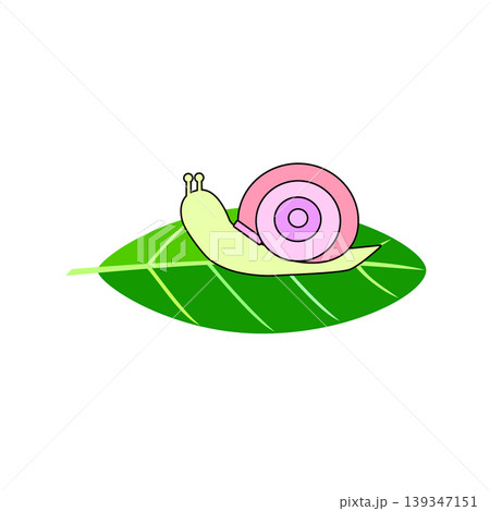 カタツムリと葉っぱのイラスト 139347151
