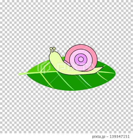 蝸牛和葉子的插圖 139347151