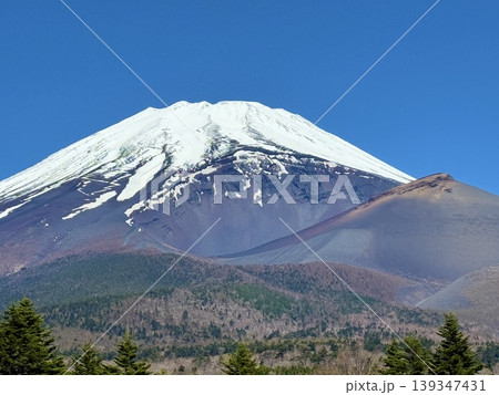 大きく口を開けた宝永山と富士山 大きく口を開けた宝永山と富士山 139347431