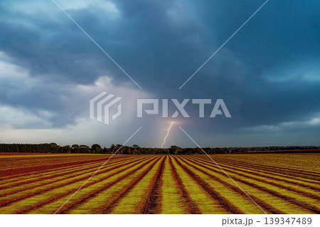 Flax fields in Normandy, France 139347489