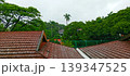 View of a red tile roof and green trees 139347525