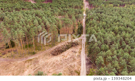 Tuchola forest in Poland. Aerial view 139348204