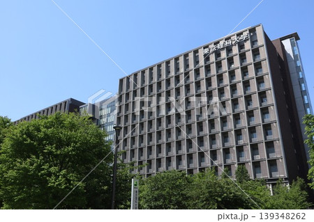 金町 街並み 金町 街並み 139348262