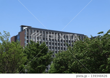 金町 街並み 金町 街並み 139348426