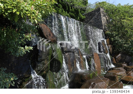 葛飾区 水元公園 葛飾区 水元公園 139348434