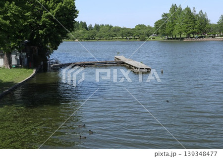 葛飾区　水元公園 139348477