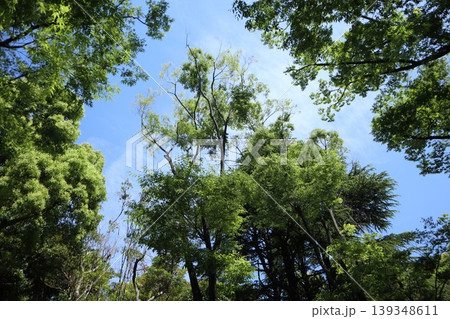 大田区 平和の森公園 大田区 平和の森公園 139348611