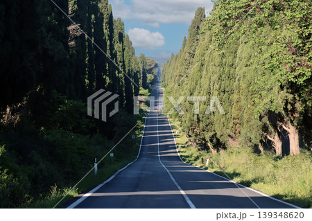 Cypress tree lined avenue in bolgheri tuscany Cypress tree lined avenue in bolgheri tuscany 139348620