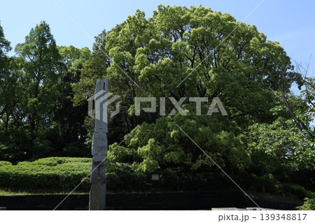 大田区　平和の森公園 139348817