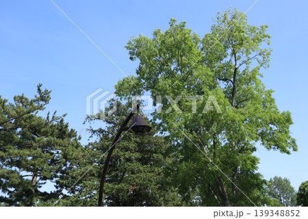 葛飾区 水元公園 葛飾区 水元公園 139348852