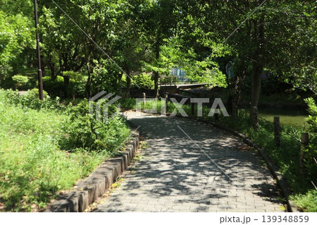 大田区　平和の森公園 139348859